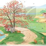 Cây hoa gạo cổ thụ với hoa nở đỏ rực rỡ
