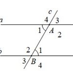 Hai đường thẳng a và b cắt đường thẳng c tạo thành các góc so le trong bằng nhau