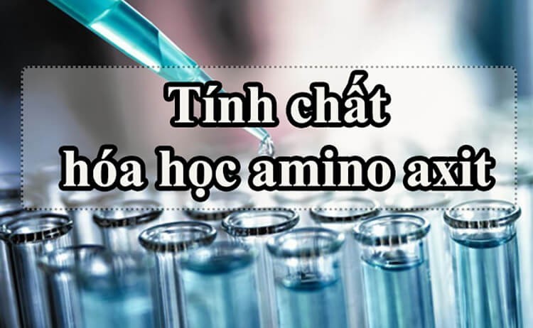 Tính chất hóa học của nhóm Amino Axit - Amino axit