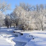 Cảnh quan tuyết phủ dưới ánh nắng mặt trời rực rỡ ở Iowa