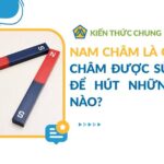 Nam châm là gì? Nam châm được sử dụng để hút những loại nào?