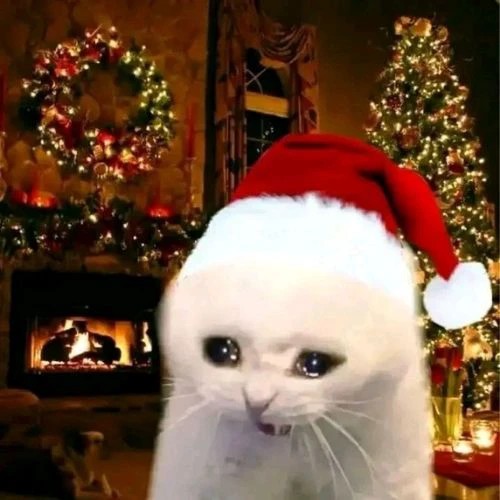 Avatar đôi mèo Giáng sinh đội mũ ông già Noel đáng yêu