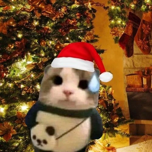 Avatar đôi mèo bên cây thông Noel lấp lánh