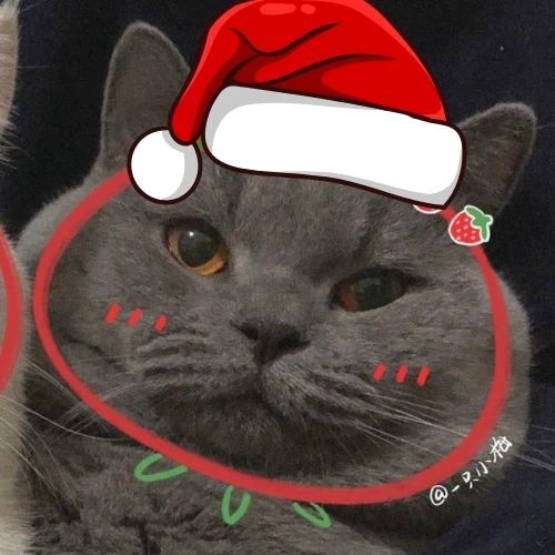 Avatar đôi mèo Giáng sinh cute nhất cho các cặp đôi