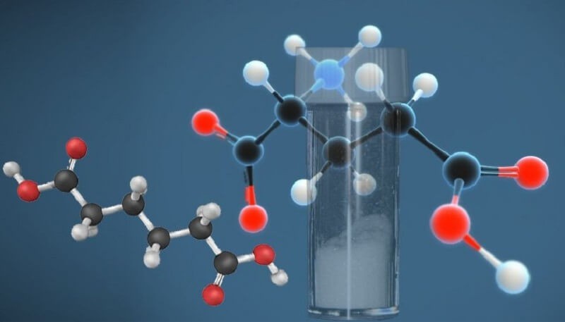 Cấu trúc hóa học của axit glutamic