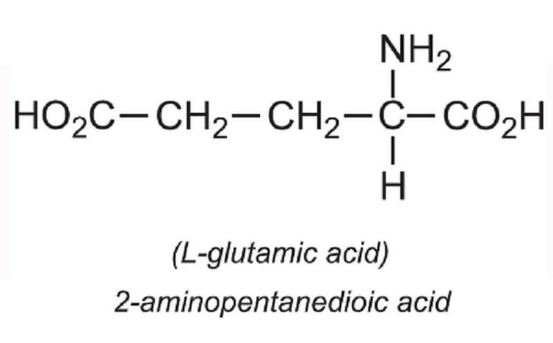 Mô hình 3D của axit glutamic