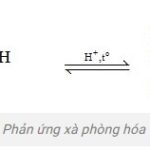 Phản ứng xà phòng hóa chất béo