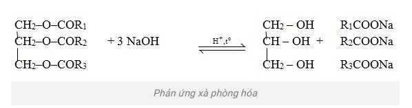 Phản ứng xà phòng hóa chất béo