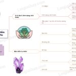 Bản đồ địa hình châu Phi với các cao nguyên và bồn địa