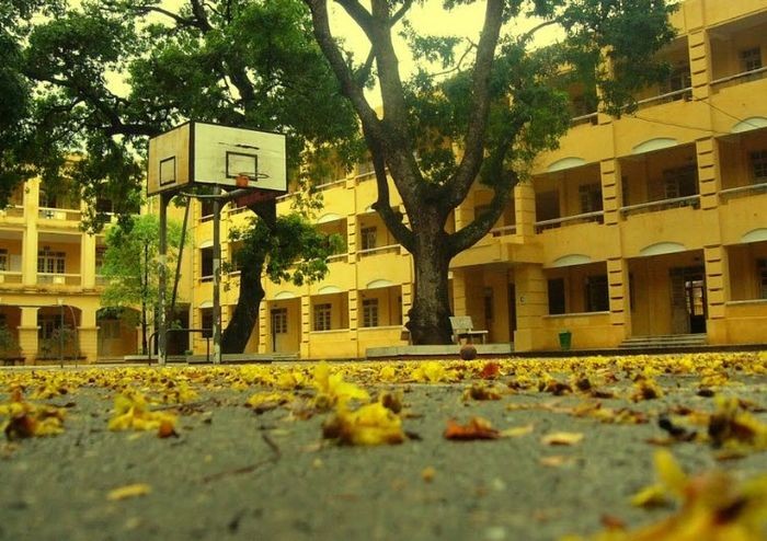 Sân trường mùa thu với lá vàng