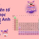 Số nguyên tố tiếng anh