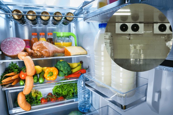 Bảo quản lạnh giúp làm chậm quá trình hư hỏng thực phẩm