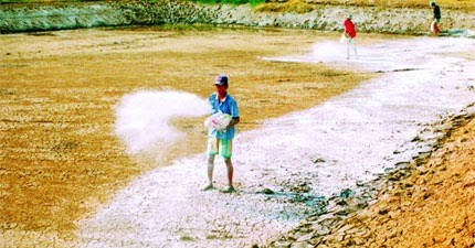 Biện Pháp Bón Vôi