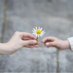 Lòng biết ơn là sự trân trọng những điều tốt đẹp