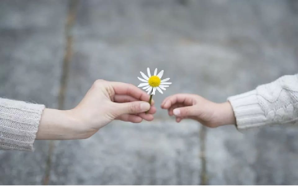 Lòng biết ơn là sự trân trọng những điều tốt đẹp