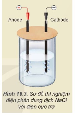 Sơ đồ thí nghiệm điện phân dung dịch NaCl điều chế nước Javel. Thí nghiệm: Điện phân dung dịch NaCl (tự điều chế nước Javel để tẩy rửa) Chuẩn bị: Hoá chất: dung dịch NaCl bão hoà, cánh hoa màu hồng. (ảnh 1)