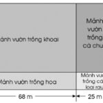 Quy đổi đơn vị diện tích dm2 sang m2 dễ dàng