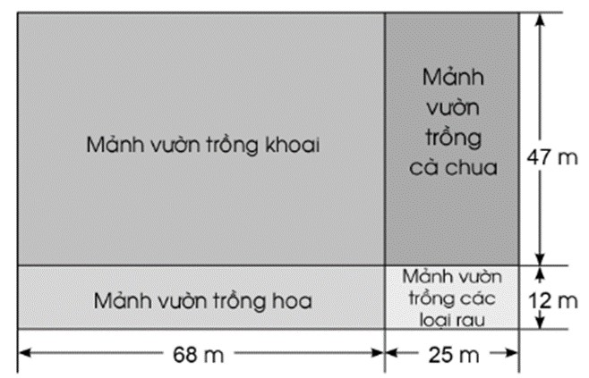 Quy đổi đơn vị diện tích dm2 sang m2 dễ dàng