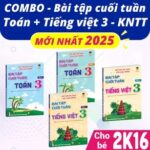 Các phương tiện giao thông đường bộ phổ biến như xe ô tô con, xe máy, xe đạp, xe buýt và xe tải