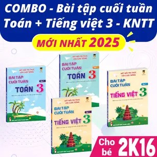 Các phương tiện giao thông đường bộ phổ biến như xe ô tô con, xe máy, xe đạp, xe buýt và xe tải