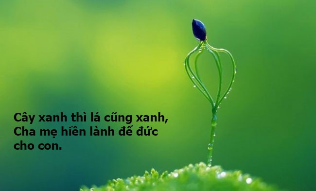 Ứng dụng ca dao vào cuộc sống