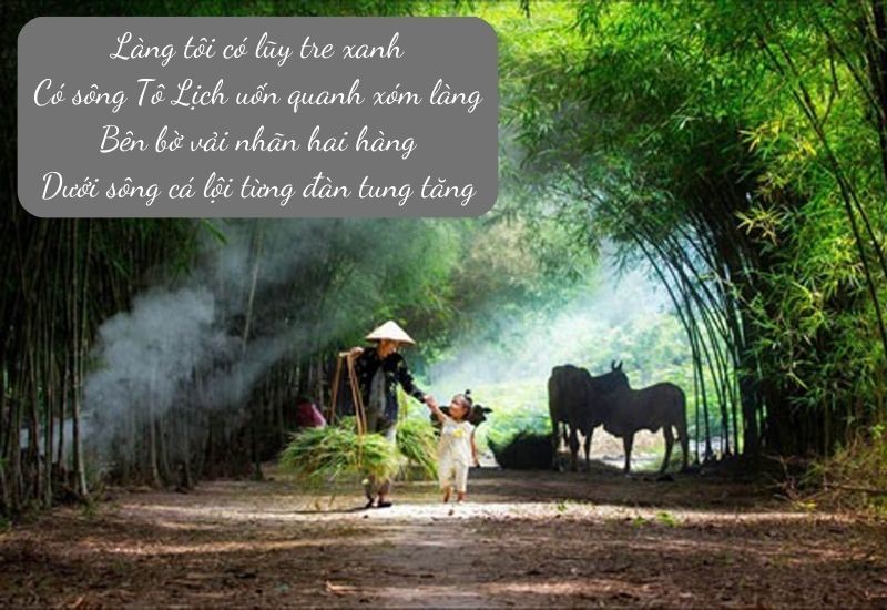 Tổng hợp những câu thơ hay về lòng yêu nước