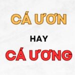 dấu hiệu nhận biết cá ươn