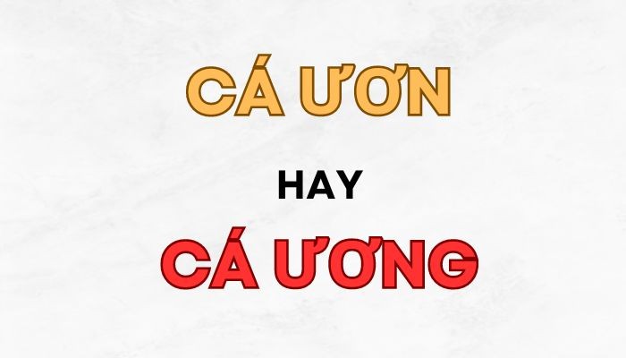 dấu hiệu nhận biết cá ươn