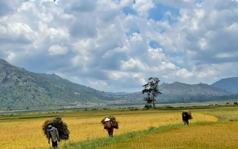 Bài thơ về thiên nhiên giúp ta yêu thêm cuộc sống