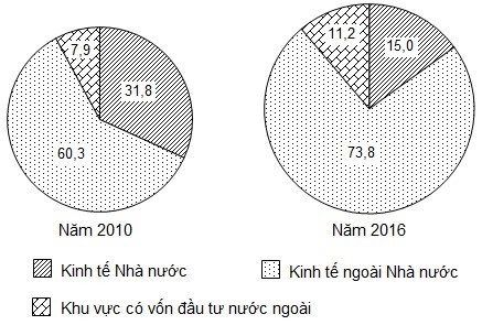 Biểu đồ tròn thể hiện cơ cấu doanh thu du lịch