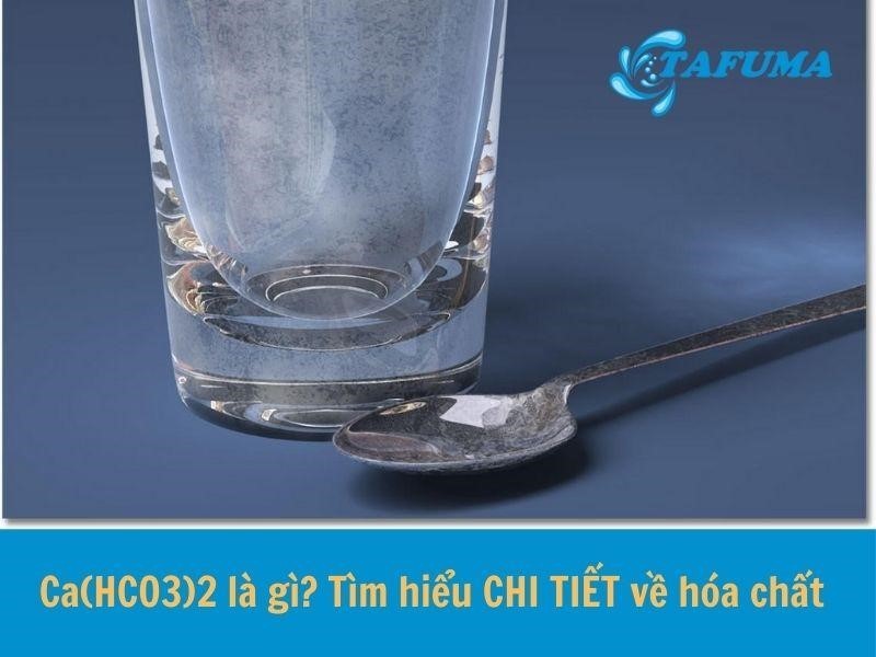Nguá»‹n gá»c vÃ  sá»± hÃ¬nh thÃ nh Ca(HCO3)2 trong tá»± nhiÃªn