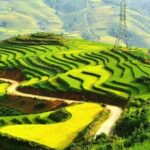 Cảm nhận Đất Nước