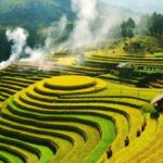 Hình ảnh minh họa: Con đường dẫn vào chiến khu Việt Bắc