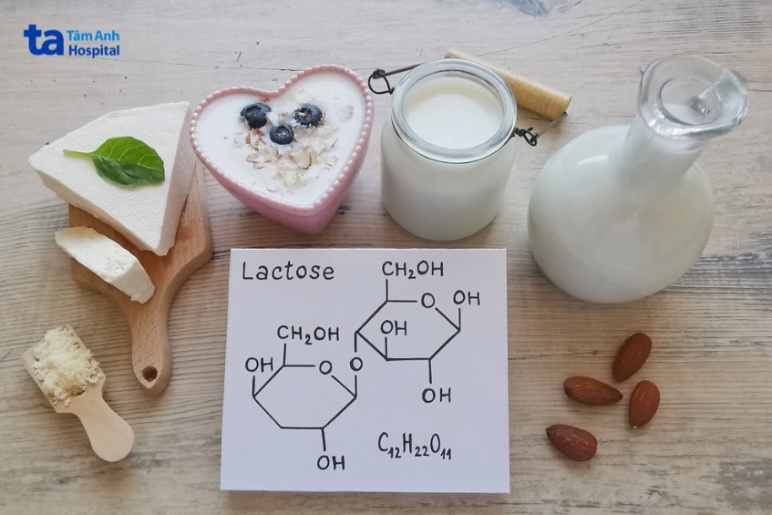 carbohydrate đơn giản lactose