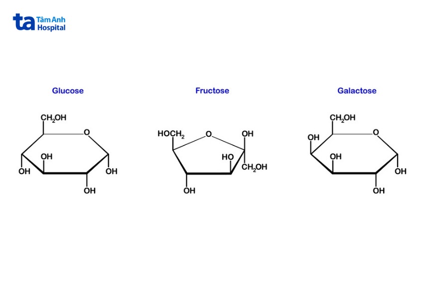 glucose là đường đơn