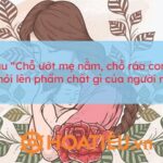 Người mẹ tần tảo