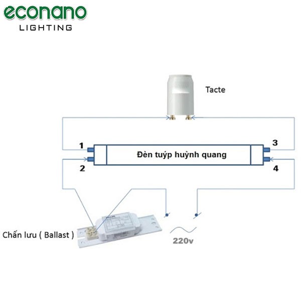 Cấu tạo đèn tuýp huỳnh quang với các bộ phận chính