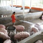 Xe tải hoạt động trong điều kiện thời tiết khắc nghiệt