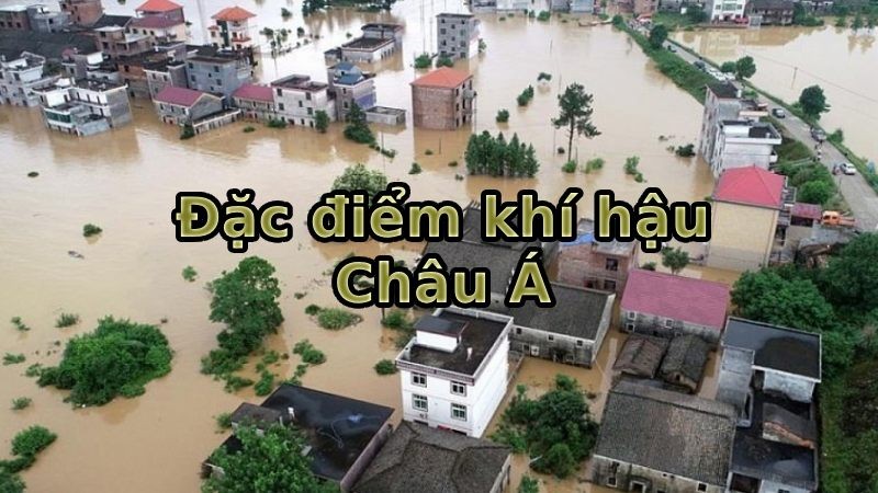 châu Á có mấy đới khí hậu