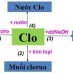 cl-hoa-tri-may-2