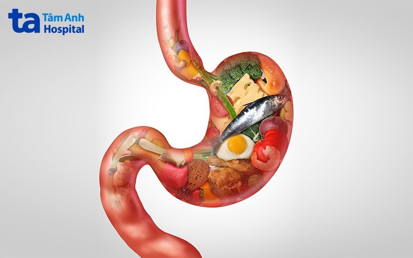 Miệng là cửa ngõ của hệ tiêu hóa, nơi thức ăn được nghiền nhỏ và trộn với nước bọt.