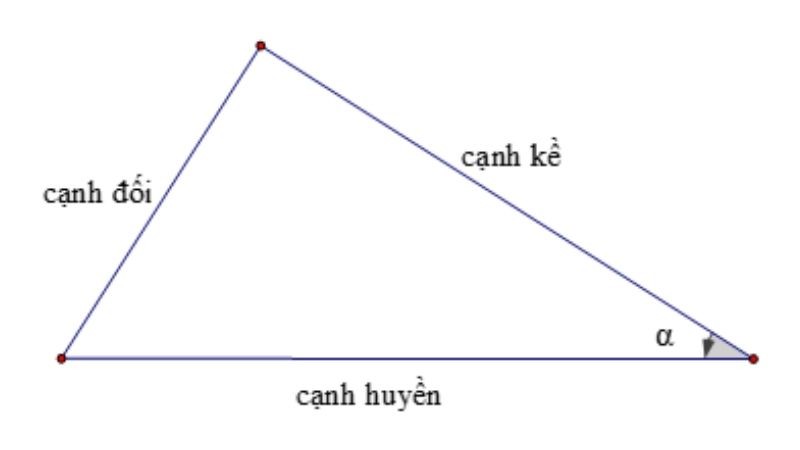 cotang-la-gi-dinh-nghia