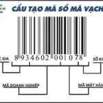 Cấu tạo mã số mã vạch
