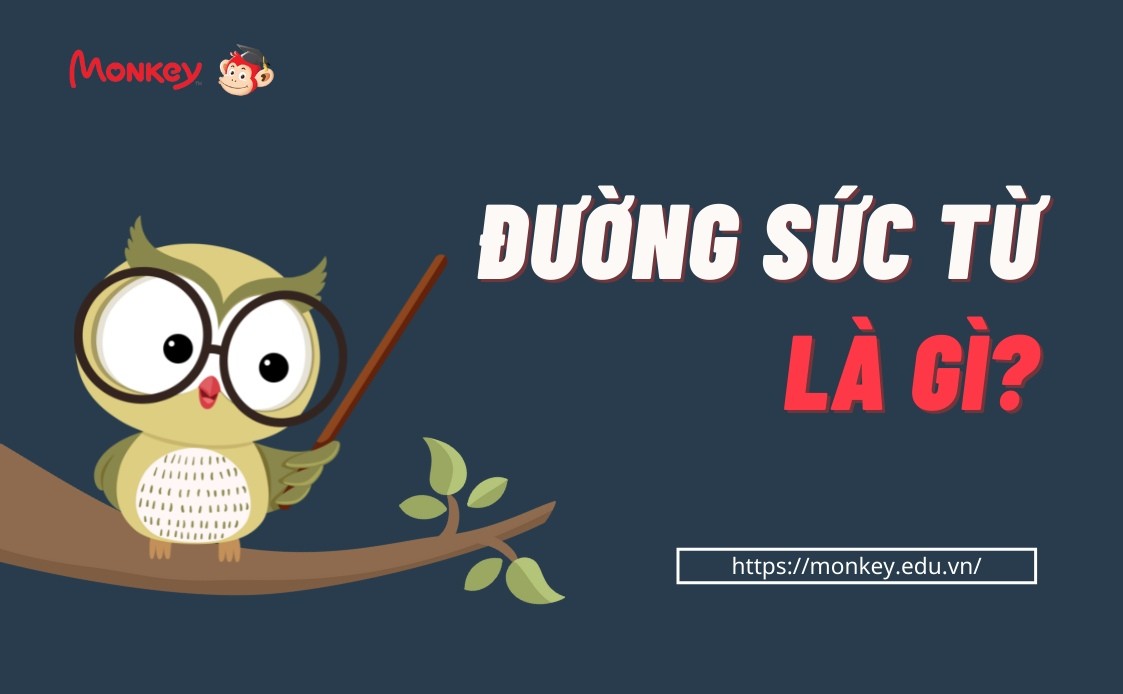 Hướng của đường sức từ thể hiện chiều đi ra từ cực Bắc và đi vào cực Nam của nam châm