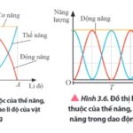 Li độ cực đại trong dao động điều hòa