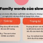 Các Dạng Từ Của Slow