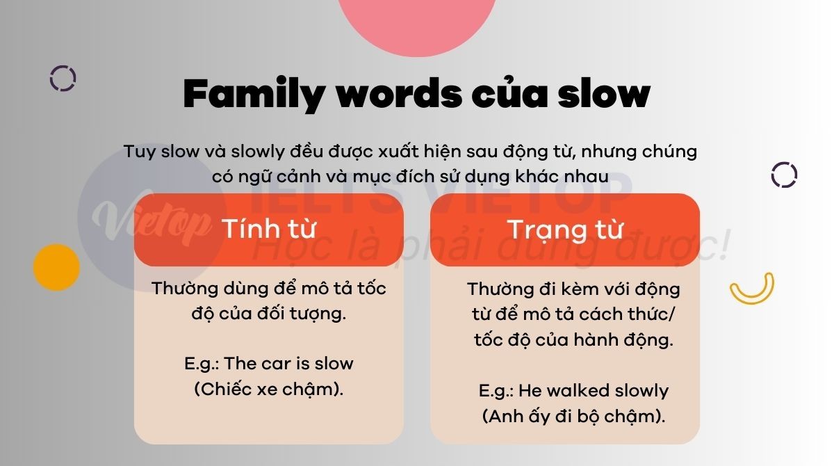 Các Dạng Từ Của Slow