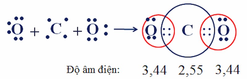 Sự hình thành phân tử CO2 - ví dụ về liên kết cộng hóa trị