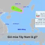 Địa lý Việt Nam ảnh hưởng đến khí hậu