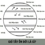 Gió Tây ôn đới là hệ thống gió thổi từ hướng Tây sang hướng Đông
